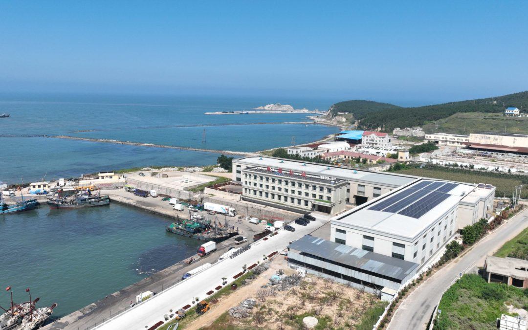 尊龙凯时人生就是搏·(中国区)官方网站